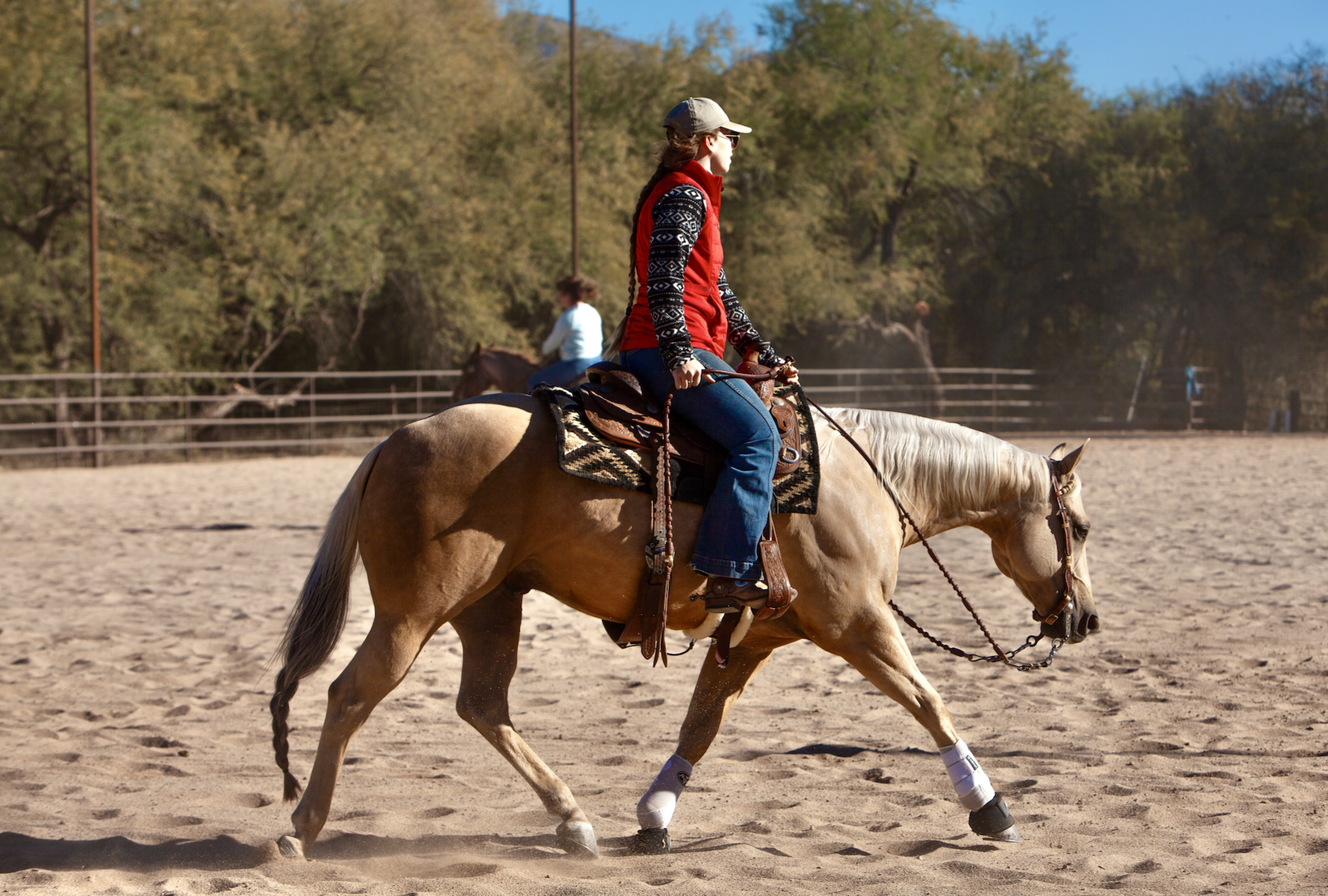 Essential Fall Horse Gear What’s on My Shopping List This Season